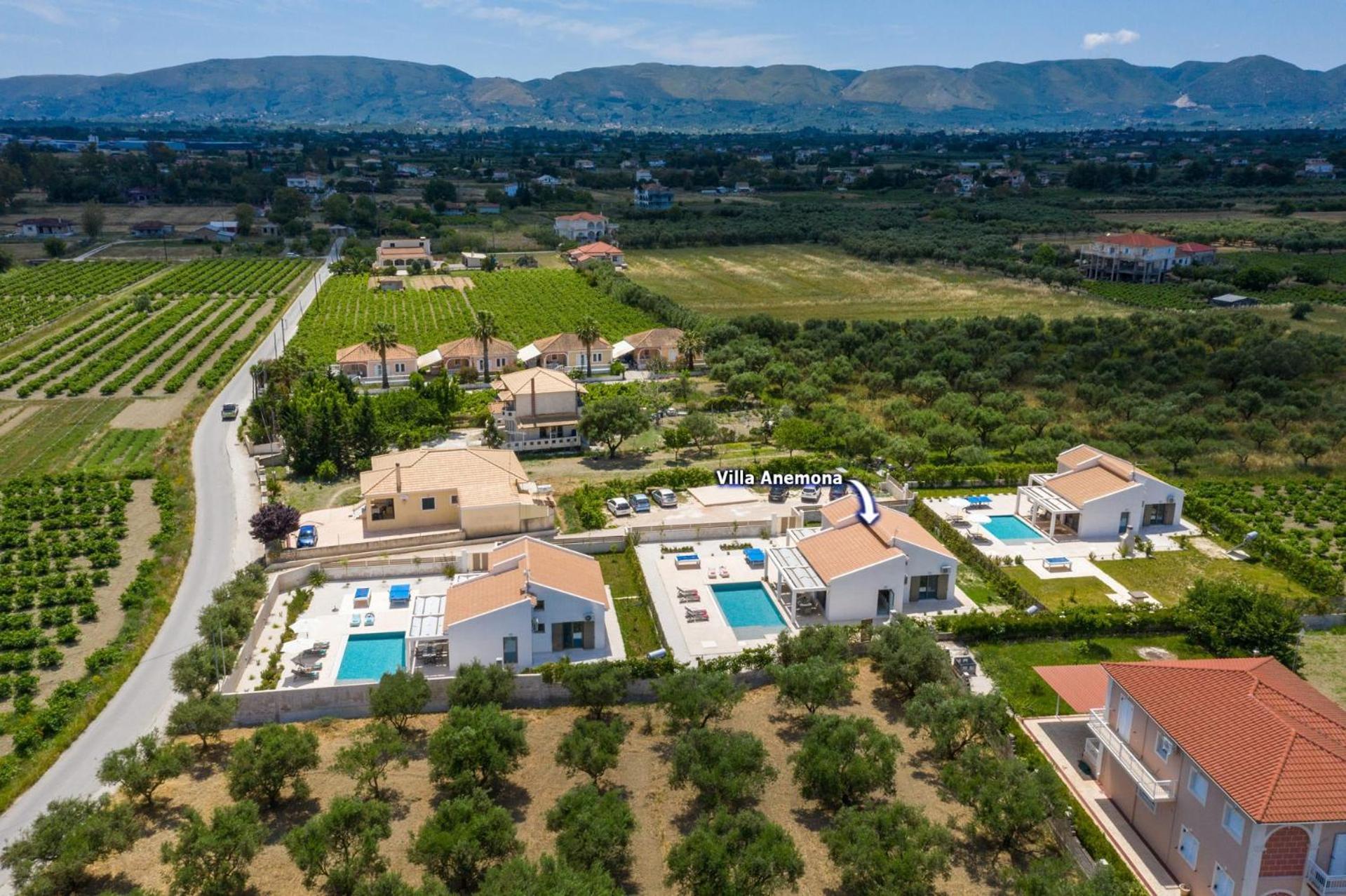 Anemona By *