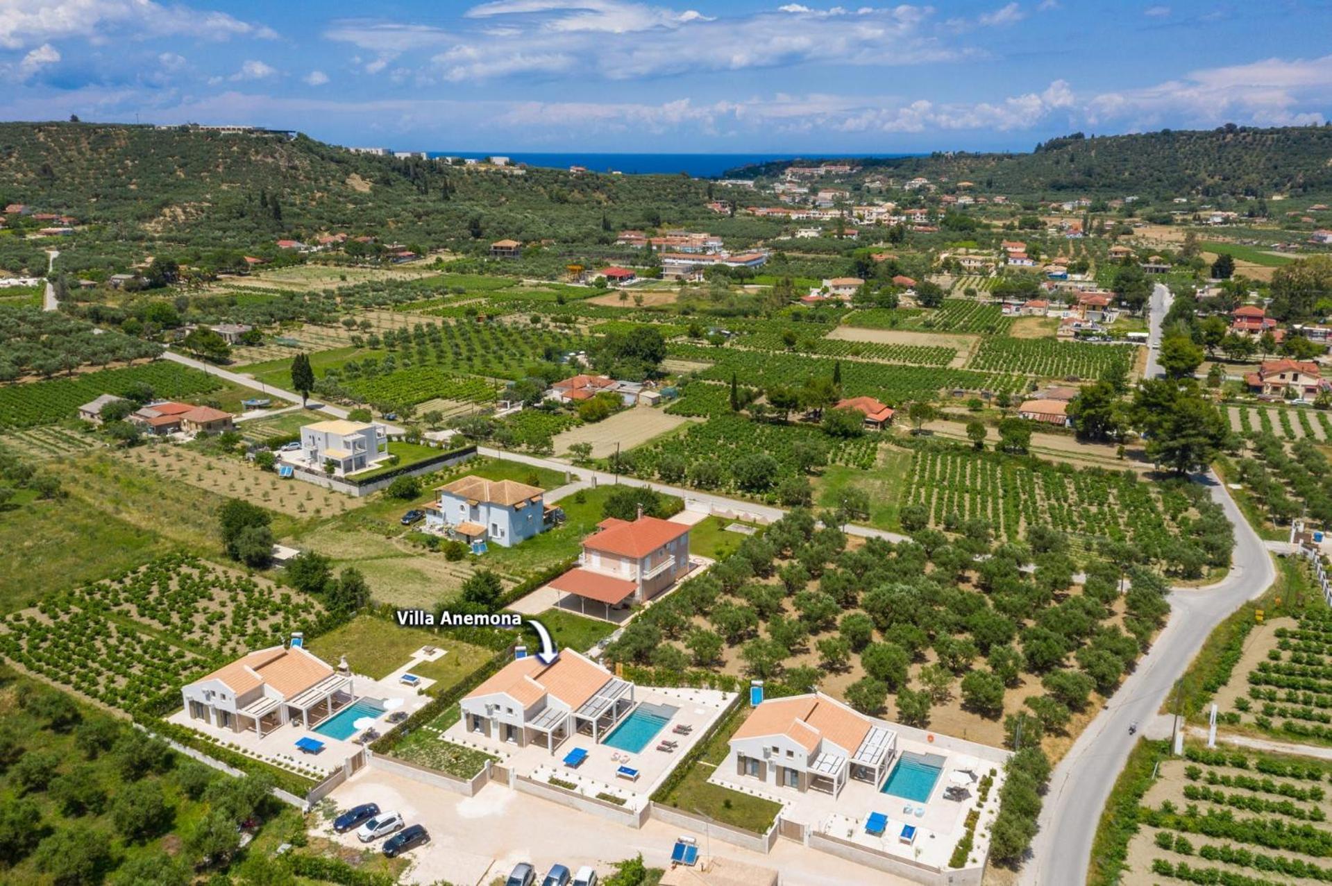 Anemona By